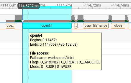 OS runtime file access flags and mode